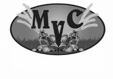 MVC Logo (USPTO, 11.10.2010)