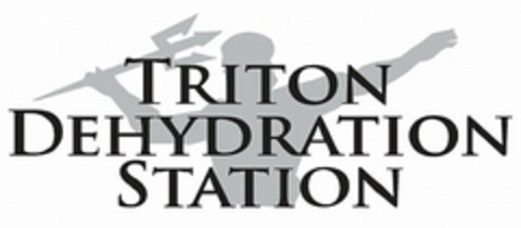 TRITON DEHYDRATION STATION Logo (USPTO, 12.02.2013)