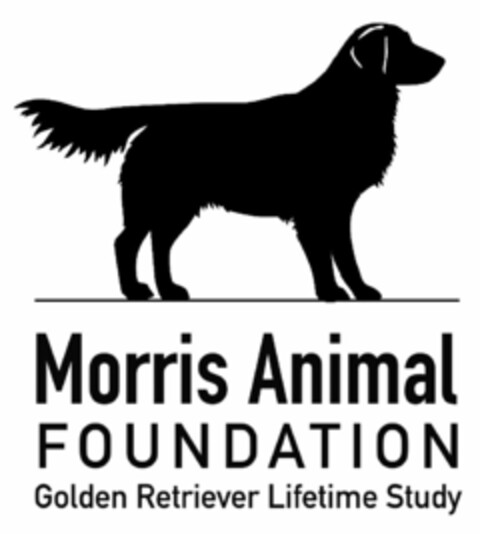MORRIS ANIMAL FOUNDATION GOLDEN RETRIEVER LIFETIME STUDY Logo (USPTO, 03/28/2013)