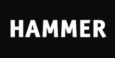 HAMMER Logo (USPTO, 28.03.2013)