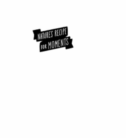 NATURE'S RECIPE FOR MOMENTS Logo (USPTO, 11/01/2013)