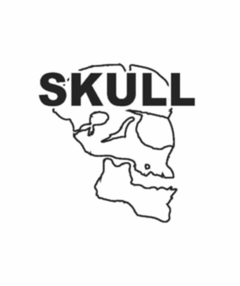 SKULL Logo (USPTO, 30.06.2017)