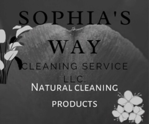 SOPHIA'S WAY CLEANING SERVICE LLC. NATURAL CLEANING PRODUCTS Logo (USPTO, 17.06.2020)