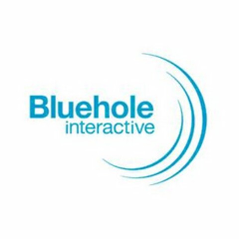 BLUEHOLE INTERACTIVE Logo (USPTO, 13.01.2009)