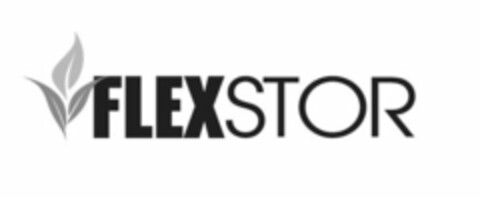 FLEXSTOR Logo (USPTO, 11.01.2011)