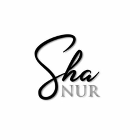 SHA NUR Logo (USPTO, 21.01.2020)