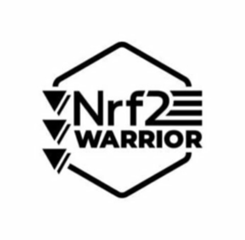 NRF2 WARRIOR Logo (USPTO, 10.04.2020)