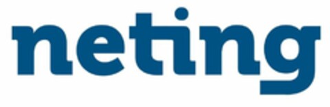 NETING Logo (USPTO, 04/22/2020)