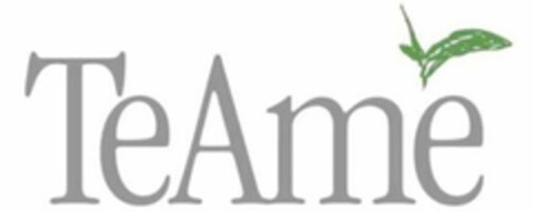 TEAME' Logo (USPTO, 24.04.2009)