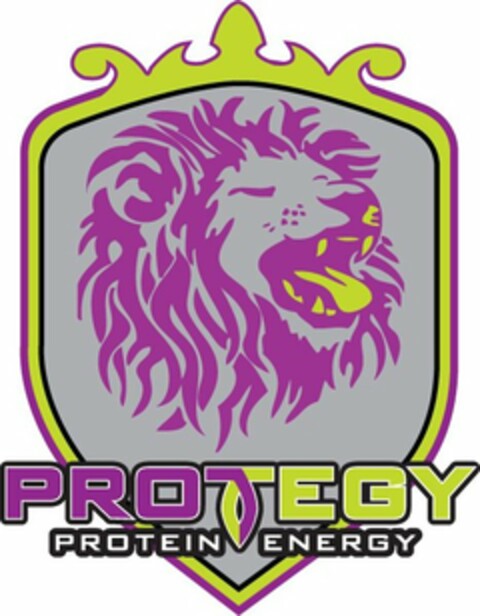 PROTEGY PROTEIN ENERGY Logo (USPTO, 04.08.2010)