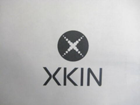 X XKIN Logo (USPTO, 28.09.2010)