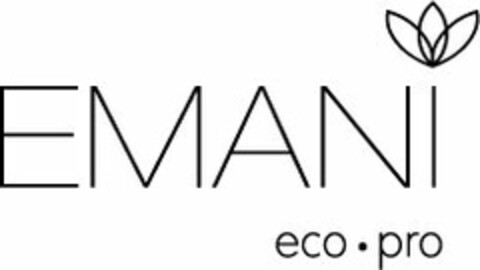 EMANI ECO PRO Logo (USPTO, 08.06.2012)