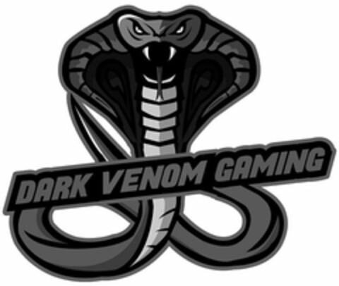DARK VENOM GAMING Logo (USPTO, 22.06.2018)