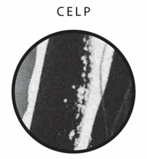 CELP Logo (USPTO, 05/25/2020)