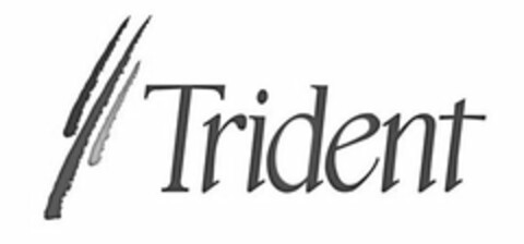 TRIDENT Logo (USPTO, 03.02.2009)