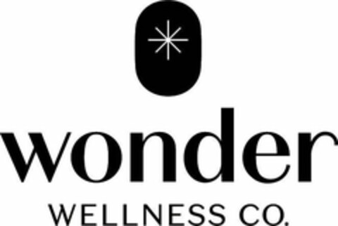 WONDER WELLNESS CO. Logo (USPTO, 06.08.2019)