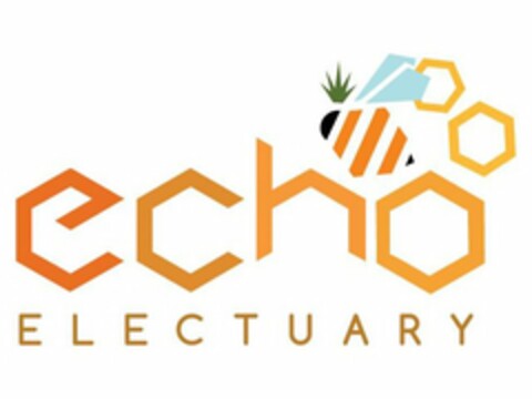 ECHO ELECTUARY Logo (USPTO, 04/14/2020)