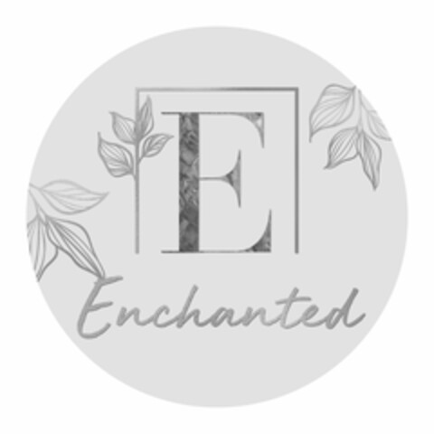 E ENCHANTED Logo (USPTO, 06/05/2020)