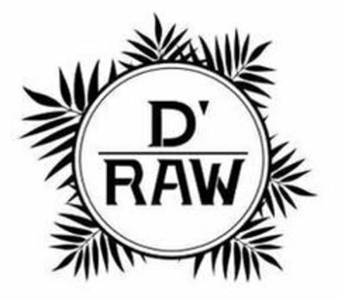 D'RAW Logo (USPTO, 15.09.2020)