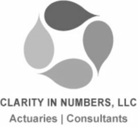 CLARITY IN NUMBERS, LLC ACTUARIES CONSULTANTS Logo (USPTO, 31.05.2011)