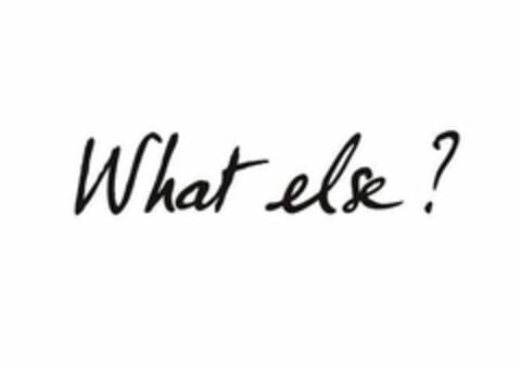 WHAT ELSE? Logo (USPTO, 14.02.2014)