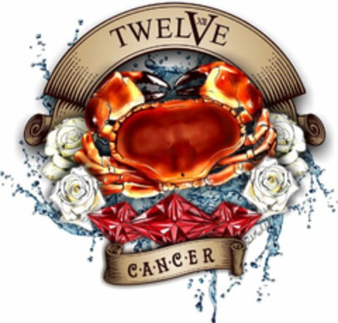 TWELVE XII CANCER PAUL MICHALSKI Logo (USPTO, 17.11.2015)