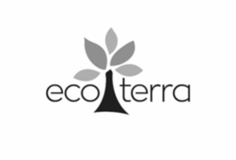 ECO TERRA Logo (USPTO, 16.08.2017)