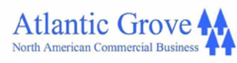 ATLANTIC GROVE NORTH AMERICAN COMMERCIAL BUSINESS Logo (USPTO, 23.06.2020)