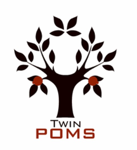 TWIN POMS Logo (USPTO, 24.06.2009)