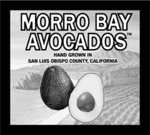 MORRO BAY AVOCADOS HAND GROWN IN SAN LUIS OBISPO COUNTY, CALIFORNIA Logo (USPTO, 29.06.2011)