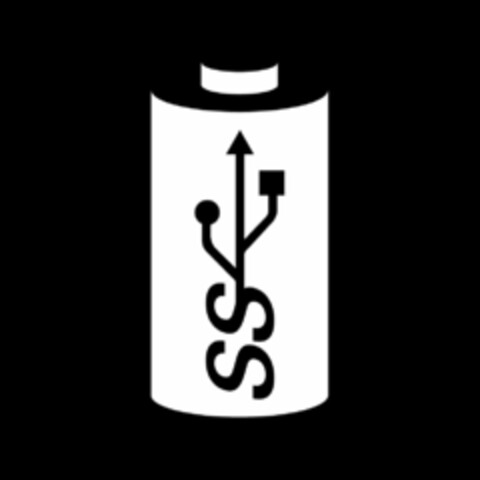 SS Logo (USPTO, 05/21/2013)