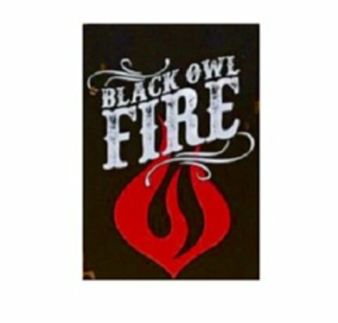 BLACK OWL FIRE Logo (USPTO, 03/06/2017)