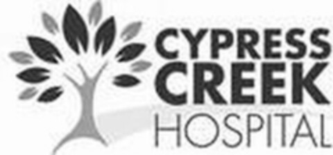 CYPRESS CREEK HOSPITAL Logo (USPTO, 01/10/2019)