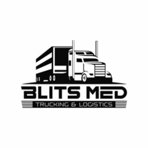 BLITS MED TRUCKING & LOGISTICS Logo (USPTO, 17.06.2020)