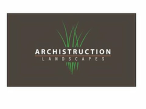 ARCHISTRUCTION LANDSCAPES Logo (USPTO, 17.11.2009)