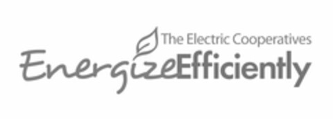 THE ELECTRIC COOPERATIVES ENERGIZEEFFICIENTLY Logo (USPTO, 06.08.2010)