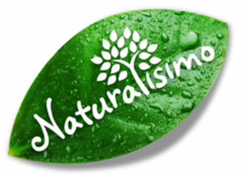 NATURALISIMO Logo (USPTO, 08/08/2011)