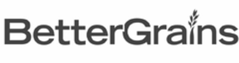BETTERGRAINS Logo (USPTO, 08.11.2013)