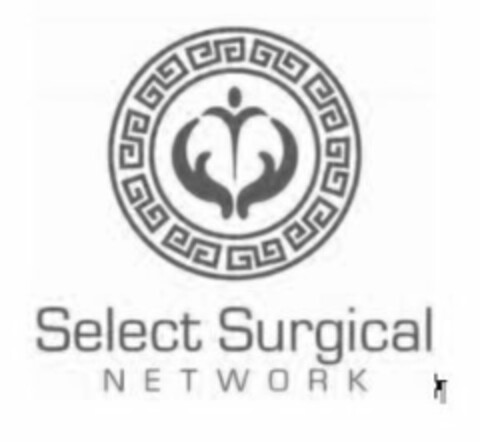 SELECT SURGICAL NETWORK Logo (USPTO, 31.08.2016)