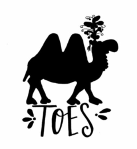 TOES Logo (USPTO, 04/05/2019)