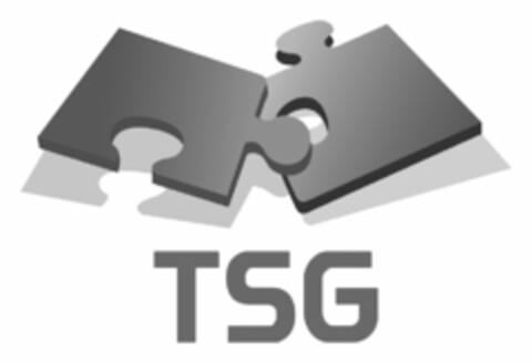 TSG Logo (USPTO, 30.12.2019)