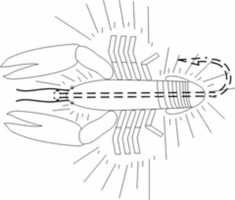  Logo (USPTO, 02.04.2009)