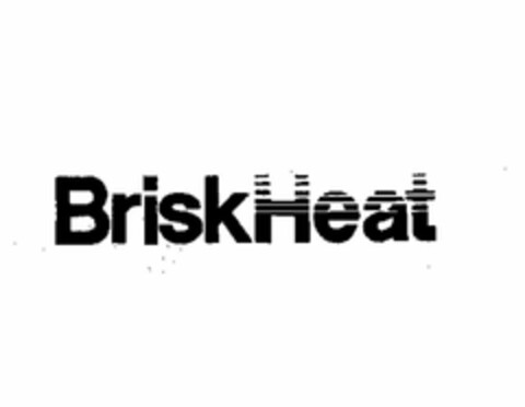 BRISKHEAT Logo (USPTO, 09.06.2009)