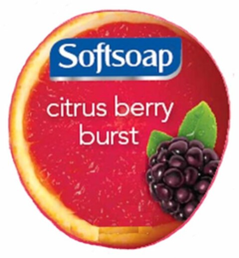 SOFTSOAP CITRUS BERRY BURST Logo (USPTO, 22.12.2010)