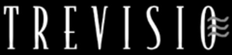 TREVISIO Logo (USPTO, 09/07/2012)