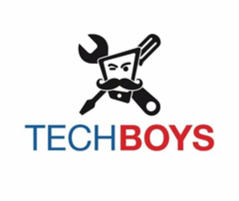 TECH BOYS Logo (USPTO, 08.03.2017)