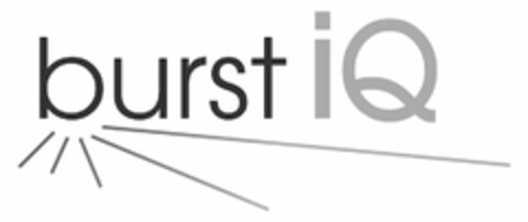 BURSTIQ Logo (USPTO, 21.02.2018)