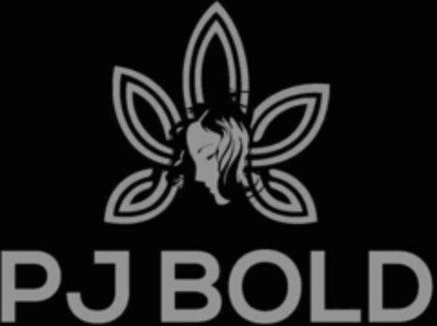 PJ BOLD Logo (USPTO, 11.06.2018)