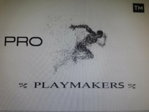 PRO PLAYMAKERS Logo (USPTO, 13.11.2018)