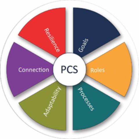 PCS CONNECTION RESILIENCE GOALS ROLES PROCESSES ADAPTABILITY Logo (USPTO, 23.01.2019)